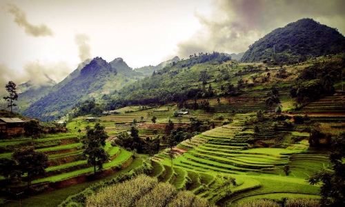 2 days - Can Cau Market, Bac Ha Market