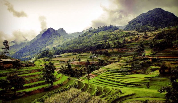 2 days - Can Cau Market, Bac Ha Market