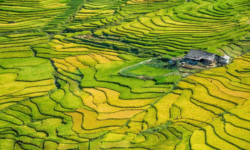 2 days - Can Cau Market, Bac Ha Market