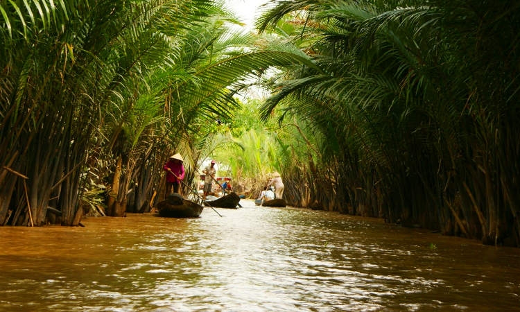 Day tour - Mekong delta tour – 1 day