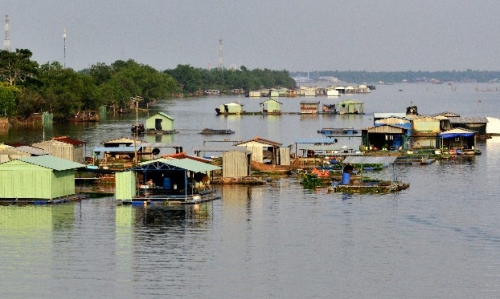 Day tour - Visit Cai Be floating market and Tan Phong island