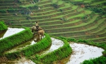 3 days - Explore Sapa and Bac Ha market