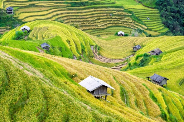 Mai Chau